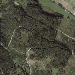 Niklasdorf map(satellite map)