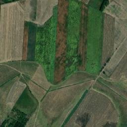 Hajdúszovát map(satellite map)