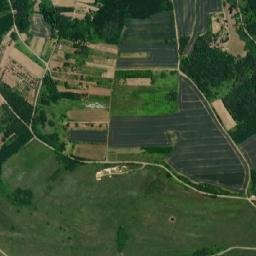 Viişoara map(satellite map)