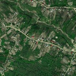 Poiana Mărului map(satellite map)