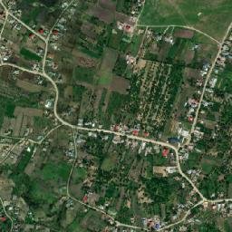 Buhalnița map(satellite map)