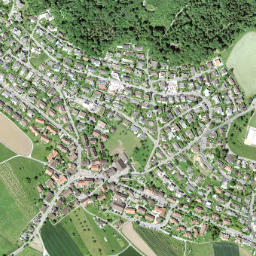 Uitikon map(satellite map)