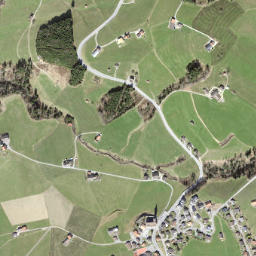 Haslen map(satellite map)