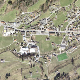 Bühler map(satellite map)