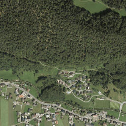 Bizau map(satellite map)