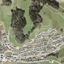Mosnang map(satellite map)
