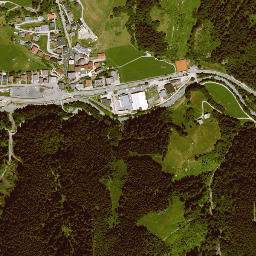 Viehhofen map(satellite map)