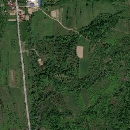 Coroieni map(satellite map)