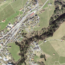 Waldstatt map(satellite map)