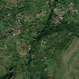 Dealu Mare map(satellite map)