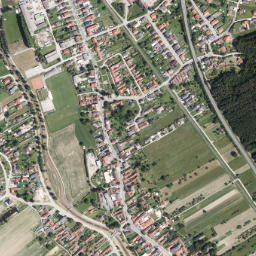 Riedlingsdorf map(satellite map)