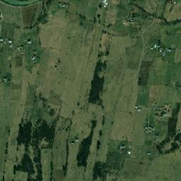 Dorna Cândrenilor map(satellite map)