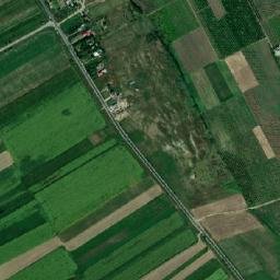 Cotnari map(satellite map)