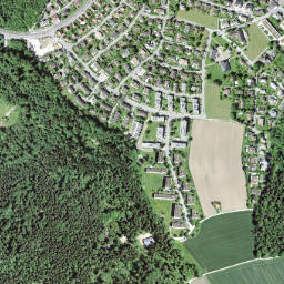 Zollikerberg map(satellite map)