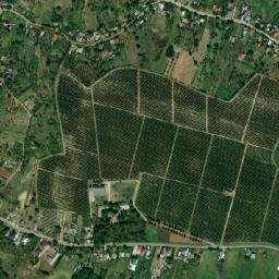 Cârjoaia map(satellite map)