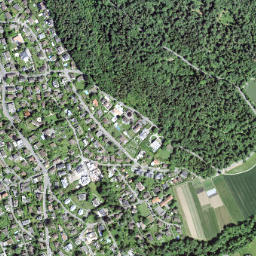 Küsnacht / Goldbach map(satellite map)