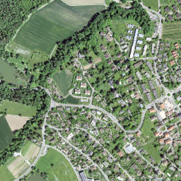 Küsnacht / Itschnach map(satellite map)