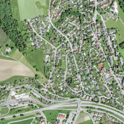 Aesch map(satellite map)