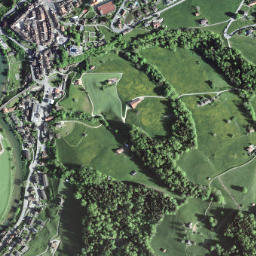 Lichtensteig map(satellite map)