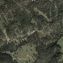 Häselgehr map(satellite map)