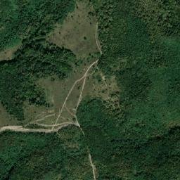 Coşeiu map(satellite map)