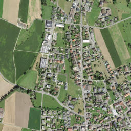 Sarmenstorf map(satellite map)