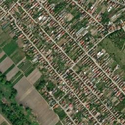 Alsónémedi map(satellite map)