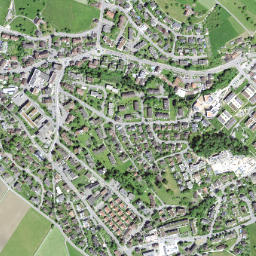 Gossau map(satellite map)