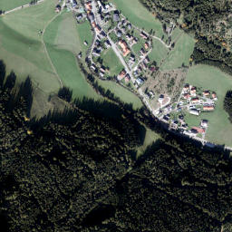 Pusterwald map(satellite map)