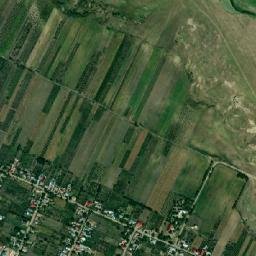 Liteni map(satellite map)