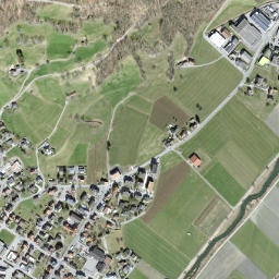 Rüthi map(satellite map)