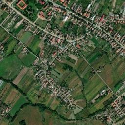 Diosig map(satellite map)