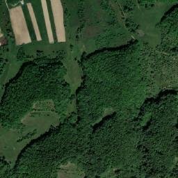 Poiana Blenchii map(satellite map)