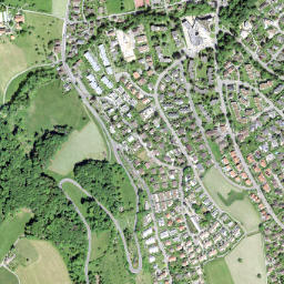 Mühlehalde map(satellite map)