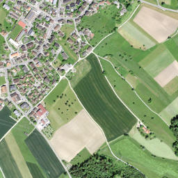 Binzikon map(satellite map)