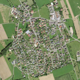 Buttwil map(satellite map)