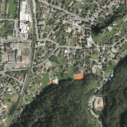 Rankweil map(satellite map)