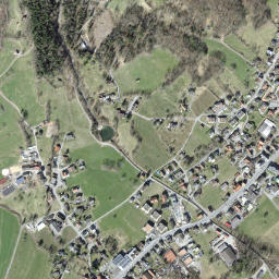 Sennwald map(satellite map)