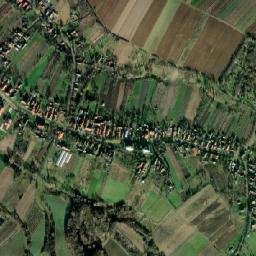 Mișca map(satellite map)