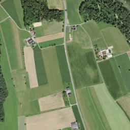 Bezirk Muri map(satellite map)