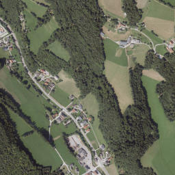 Naas map(satellite map)