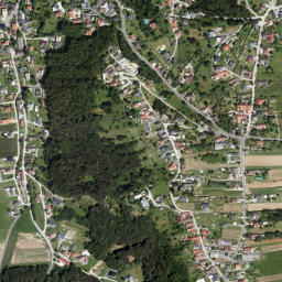 Wolfau map(satellite map)