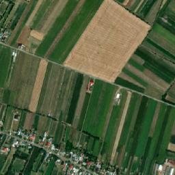 Răuceşti map(satellite map)