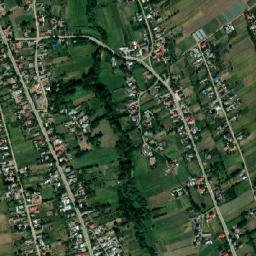 Ruginoasa map(satellite map)