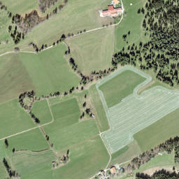 Franches-Montagnes District map(satellite map)