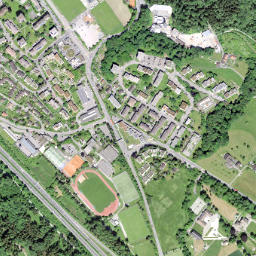 Horgen / Allmend map(satellite map)