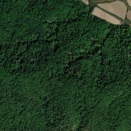Comuna Surduc map(satellite map)