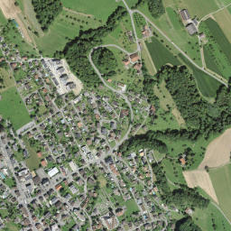 Triengen map(satellite map)