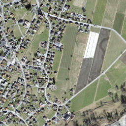 Ruggell map(satellite map)