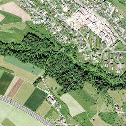 Wädenswil / Hangenmoos map(satellite map)